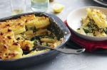 American Haloumi Spinach Broccoli Pasticcio Recipe Dinner