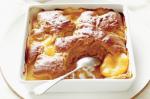 American Peach Gingerbread Cobbler Recipe Dessert