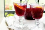 American Sparkling Shiraz Sangria Recipe Appetizer