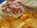 American Tomatostudded Tuna Salad Sandwiches Appetizer