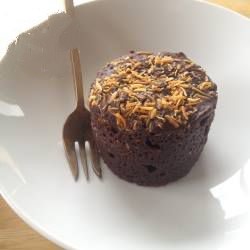 American Mug Cake Vegan Dessert