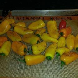 American Peppers from the Oven Appetizer