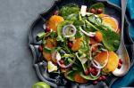 Mexican Watercress Orange and Red Kidney Bean Salad Recipe Appetizer