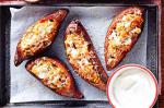 American Cheddar And Green Chilli Stuffed Sweet Potatoes Recipe Appetizer