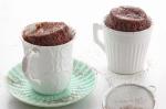 American Minute Chocolate Mug Cake Recipe 19 Dessert