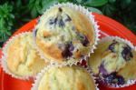 American Oldfashioned Blueberry Muffins 1 Dessert