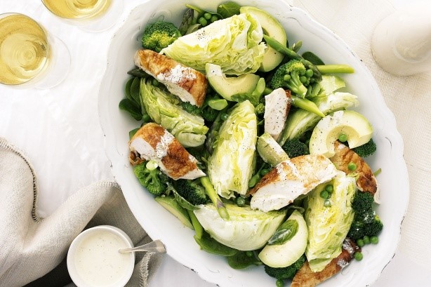 American Summer Chicken Salad With Lime Aioli Dressing Recipe Appetizer