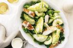 Summer Chicken Salad With Lime Aioli Dressing Recipe recipe