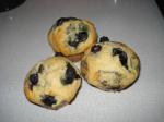 American Blueberry Cream Muffins 6 Dessert