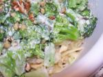 American Broccoli Pasta Sauce 1 Dinner