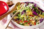 Canadian Asian Soft Noodle Cabbage Salad Recipe Appetizer