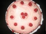 American Raspberrylaced Vanilla Cake 1 Dessert