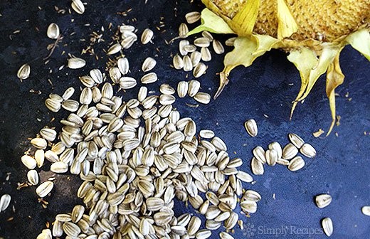 American Roasted Inshell Sunflower Seeds Recipe BBQ Grill