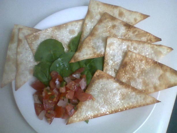 American Lowfat wonton Egg Roll Gyoza Chips With Salsa Dinner