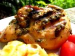 Moroccan Grilled Chicken With Moroccan Spices Appetizer