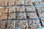 American Fruit n Oat Bars Dessert