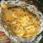 American Potatoes with Cheese and Onion on the Grill Appetizer