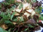 American Applewalnut Salad With Cranberry Vinaigrette Appetizer
