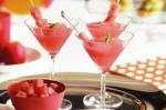 British Gin And Watermelon Frappe Recipe Appetizer