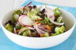 Canadian Carrot and Radish Salad Recipe 2 Appetizer