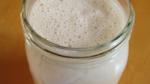 Belgian Sourdough Starter Recipe Dessert