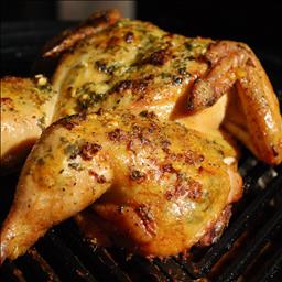 Greek Greek Fire Roasted Chicken BBQ Grill