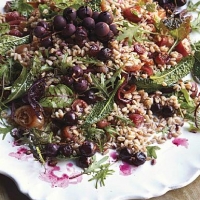 Italian Farro Salad with Oven-roasted Grapes Appetizer