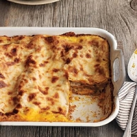 Italian Vegetarian Lasagna Variation Dinner