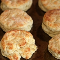 American Cheddar Biscuits 1 Appetizer