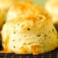 American Little Cheddar Biscuits Appetizer