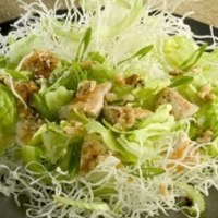Chinese Chinese Chicken Noodle Salad Appetizer