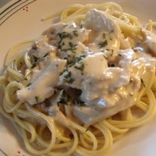 American Chicken Alfredo Appetizer