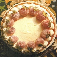 German Refrigerator Cheesecake Dessert