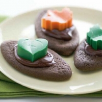 Australian Molded Chocolate Cookies Dessert